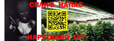 PSILOCYBIN Новокубанск
