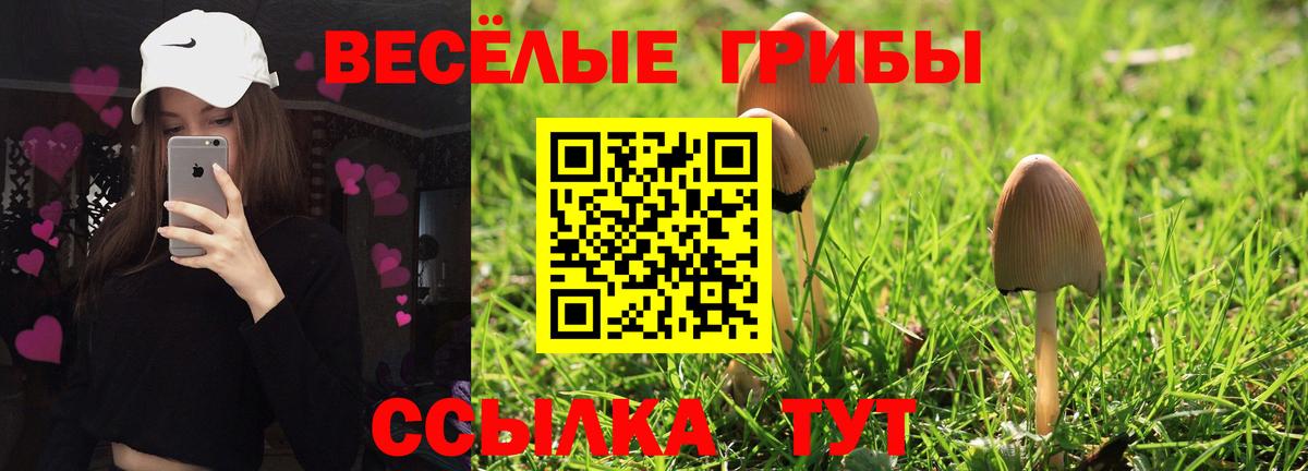 Галлюциногенные грибы мухоморы Ступино