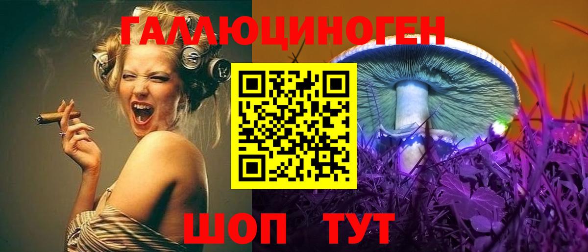 Галлюциногенные грибы Psilocybine cubensis  продажа наркотиков  Вход с VPN  Ступино  Псилоцибиновые грибы Psilocybe 